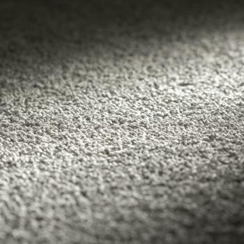 Preview: JAB Allure Teppichboden 197 Ara – Draufsicht auf modernen Velours mit samtiger Struktur